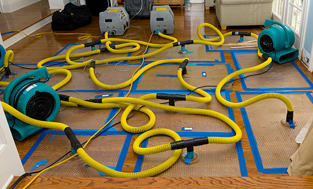 Professional Crawl Space Water Removal technician working in Eugene, MO